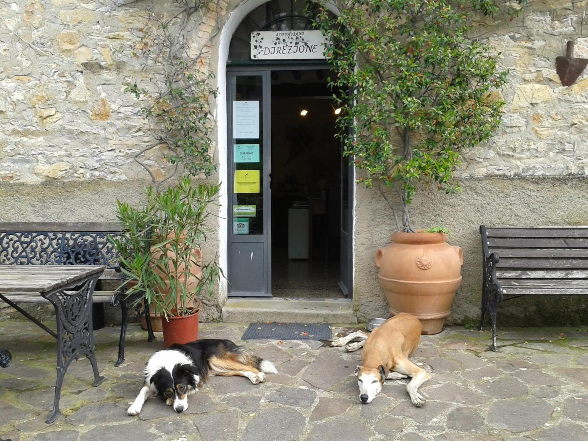Agriturismo San Ottaviano Monterotondo  Εξωτερικό φωτογραφία